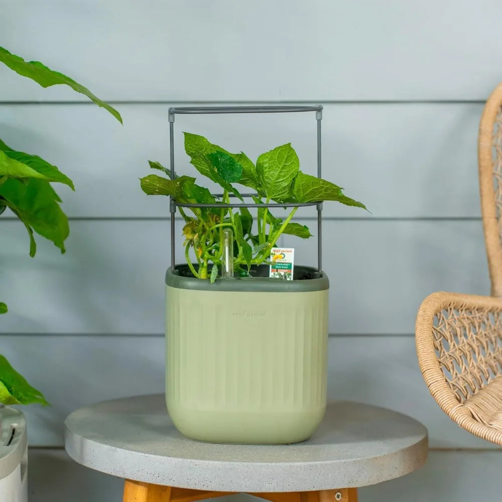 Vego Garden Mini Planter Indoor Pots with Trellis Self Watering Herb Countertop Planter for Climbing Vegetables and Flowers