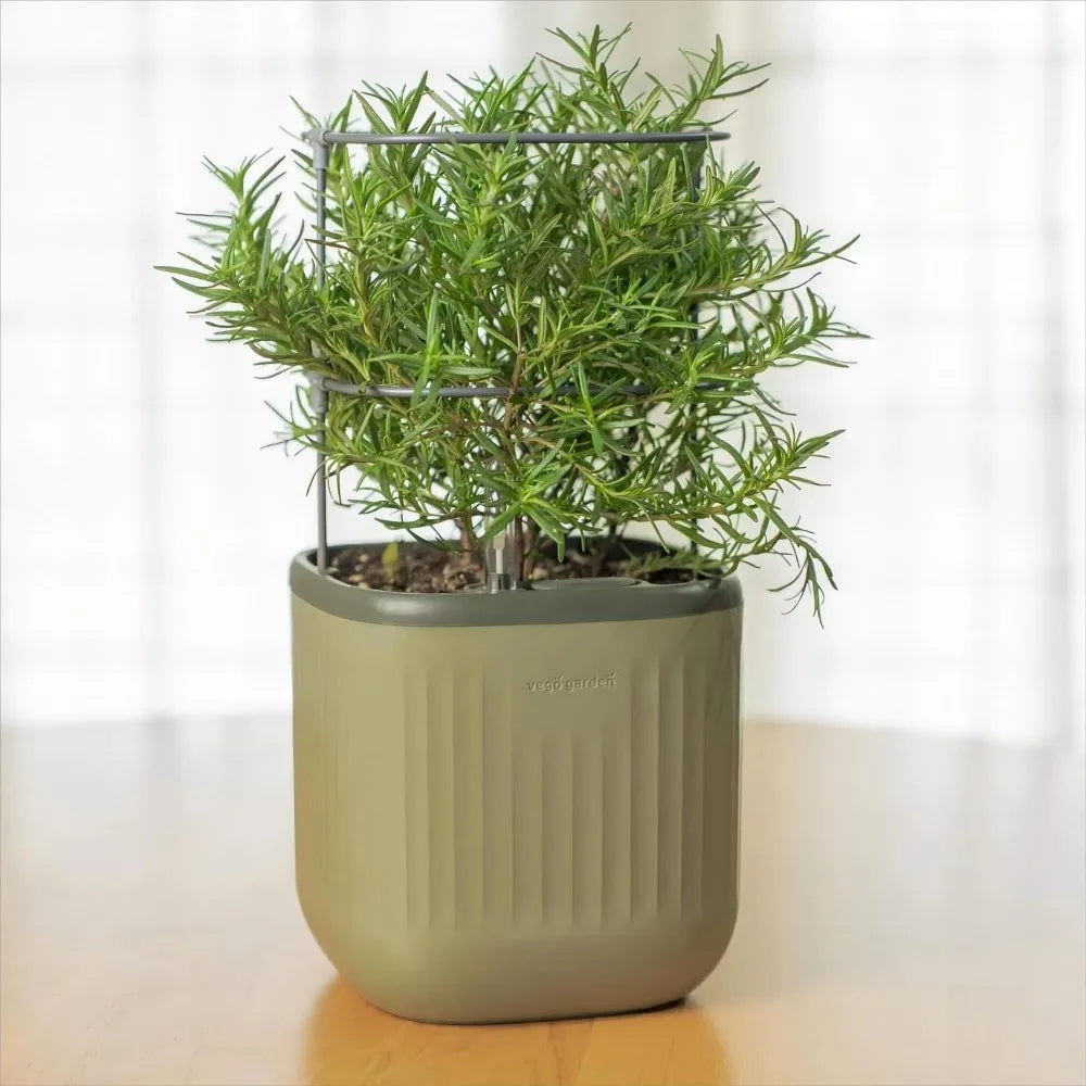 Vego Garden Mini Planter Indoor Pots with Trellis Self Watering Herb Countertop Planter for Climbing Vegetables and Flowers