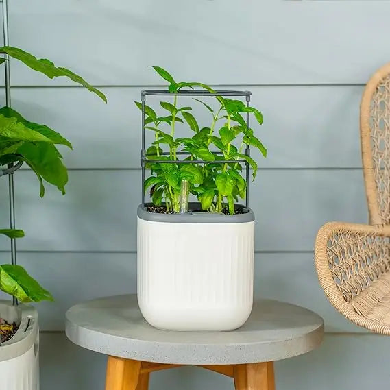 Vego Garden Mini Planter Indoor Pots with Trellis Self Watering Herb Countertop Planter for Climbing Vegetables and Flowers